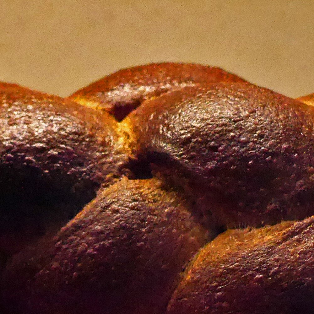 Tabor Bread - Tabor Bread - challah - Bakeries Near Me - Portland, Oregon