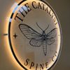 The Catalyst Spine Co gift card