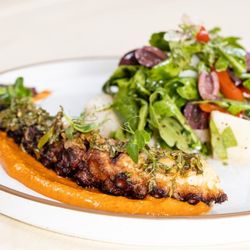 Mezza Westwood - Grilled Octopus-with Potato &Green Salad