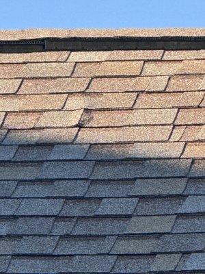 Solid Roofing