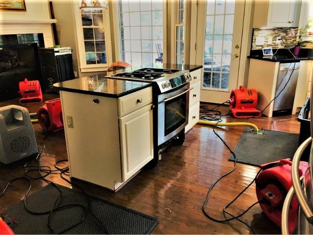 Kingsley Water Damage Restoration - mold inspector in Columbia, SC