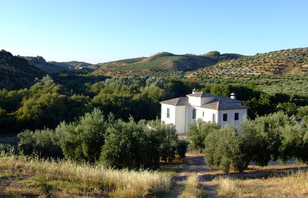 Casa Olea by null