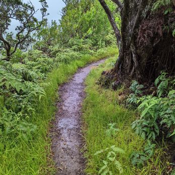 Judd Trail - Hiking Near Me - Honolulu, Hawaii