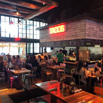 Tacology - Mexican Near Me - Miami, Florida