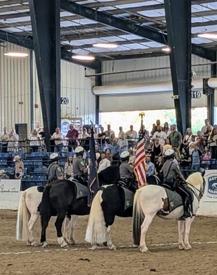 Kentucky Horse Park by null