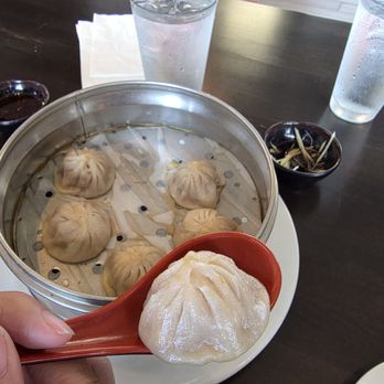 Wok Provisions - Soup dumplings (basically soulpless) - Chinese Near Me - Duluth, Georgia