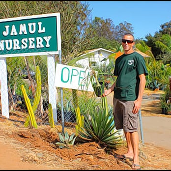 Jamul Nursery - Brad Nobel, the owner is a plant lover first and foremost. His plants show the love. - Nurseries & Gardening Near Me - Jamul, California Jamul Nursery - Brad Nobel, the owner is a plant lover first and foremost. His plants show the love. - Nurseries & Gardening Near Me - Jamul, California