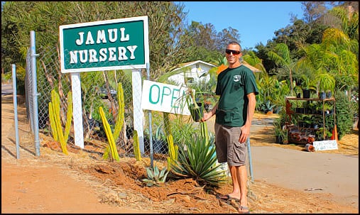 Jamul Nursery