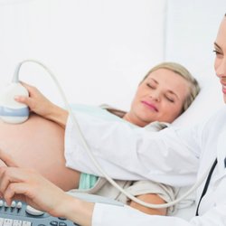 Women's Healthcare Associates