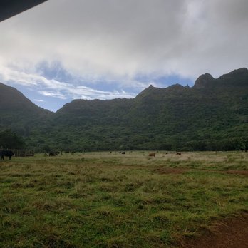 Kipu Ranch Adventures - Tours Near Me - Lihue, Hawaii Kipu Ranch Adventures - Tours Near Me - Lihue, Hawaii