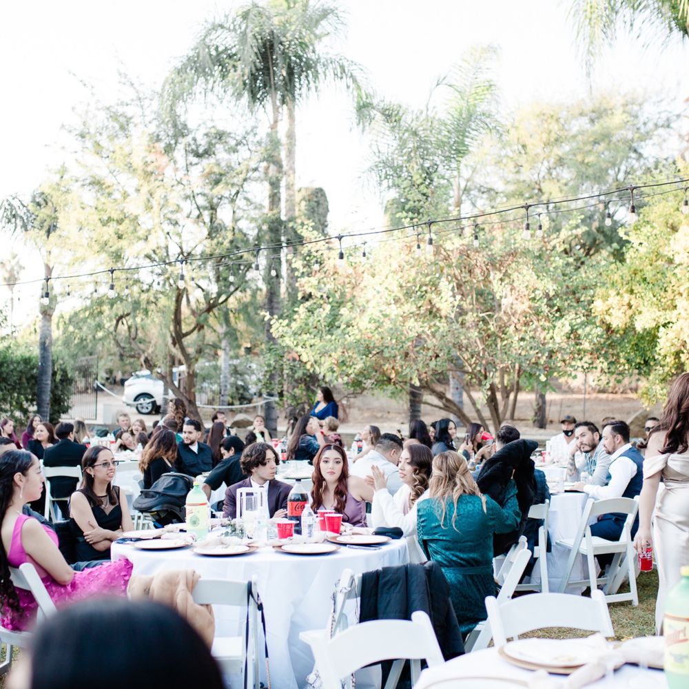 Tuesday Movies, image size:1000x1000