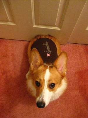 Sprinkles Palo Alto by null