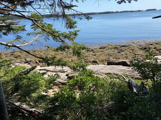 Aragosta at Goose Cove by null