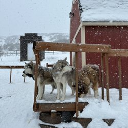 Rancho Luna Lobos