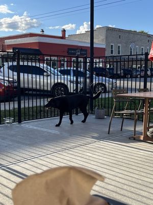 Photo of Greek’s Pizza - Martinsville, IN, US. Back patio