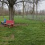 Photo of Kenton Bark Park