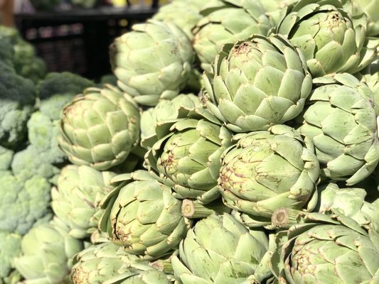 Montclair Village Farmers' Market by null