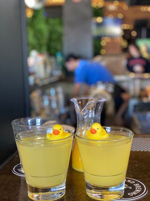 The Duck Dive by null