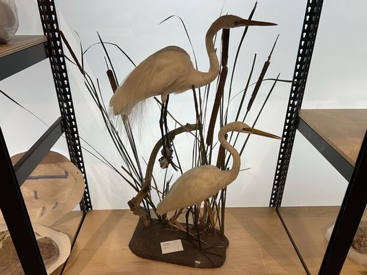 San Diego Natural History Museum by null