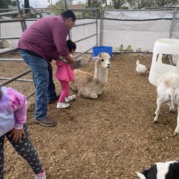 Petting zoo Petting zoo