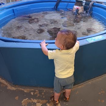 Topsail Aquarium - Aquariums Near Me - Surf City, North Carolina