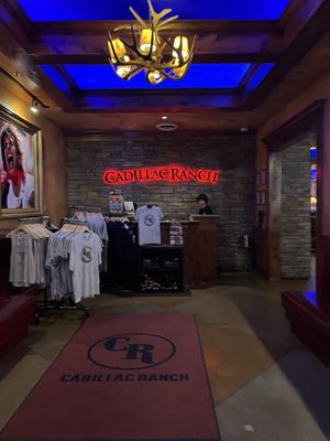 Cadillac Ranch by null