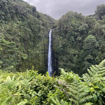Akaka Falls State Park - Parks Near Me - Honomu, Hawaii Akaka Falls State Park - Parks Near Me - Honomu, Hawaii
