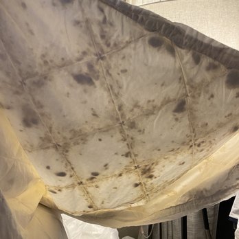 The Dextro - Old worn down comforter!! - Hotels Near Me - San Diego, California The Dextro - Old worn down comforter!! - Hotels Near Me - San Diego, California