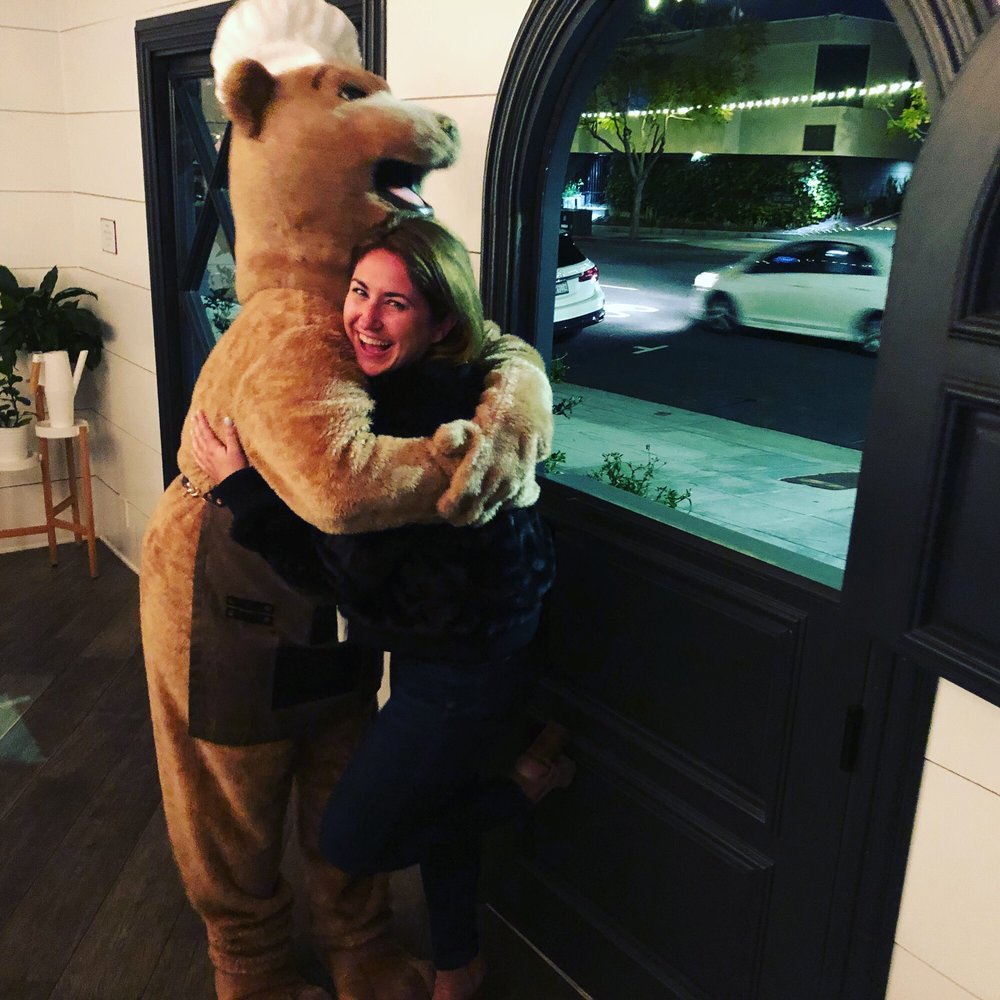 Cow By Bear - Steakhouses Near Me