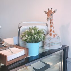 Mr Giraffe coffee - lovely decoration