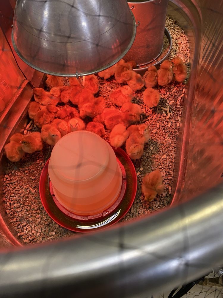 Coastal Farm & Ranch