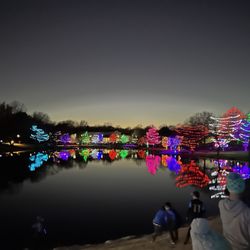 Sar-Ko-Par Trails Park - Holiday lighting. Just perfect.