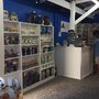 Sassy Bear Boutique