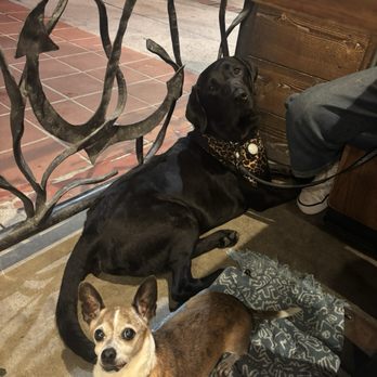 Dory Deli - Coopy and doobie mad chilling - Delis Near Me - Newport Beach, California Dory Deli - Coopy and doobie mad chilling - Delis Near Me - Newport Beach, California