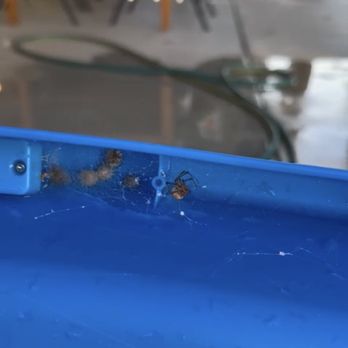 Simple Pest Management - Pest Control Near Me - Santee, California Simple Pest Management - Pest Control Near Me - Santee, California