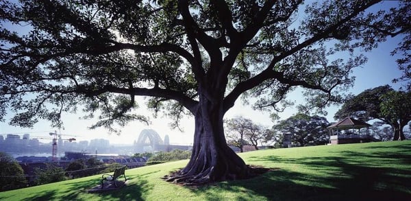 Observatory Hill Park by null
