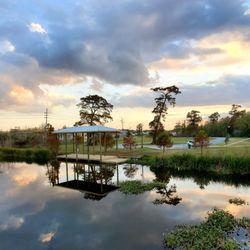 40 Arpent Wetlands Observatory - So peaceful, quiet and surrounded by beautiful nature. Facing Southeast