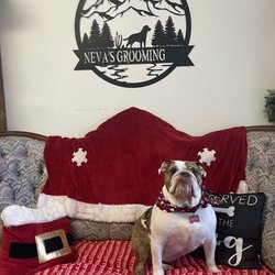 Neva's Grooming Salon - Photo booth