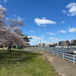 East Potomac Park