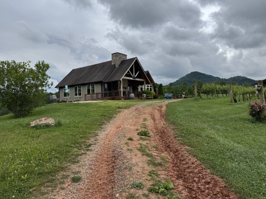 Addison Farms Vineyard by null