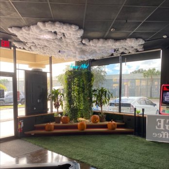 Kava House Brand - Coffee & Tea Near Me - Clearwater, Florida Kava House Brand - Coffee & Tea Near Me - Clearwater, Florida