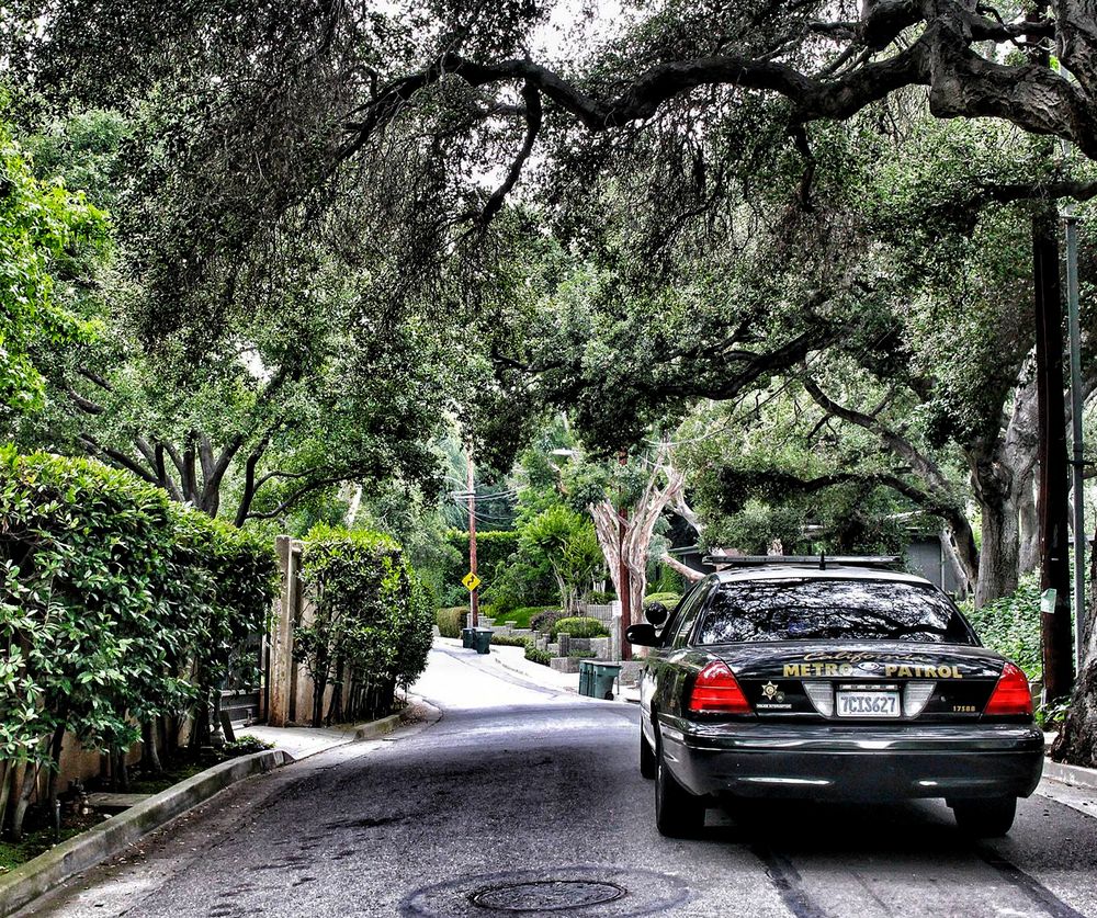 California Metro Patrol - safety consultant in Pasadena, CA