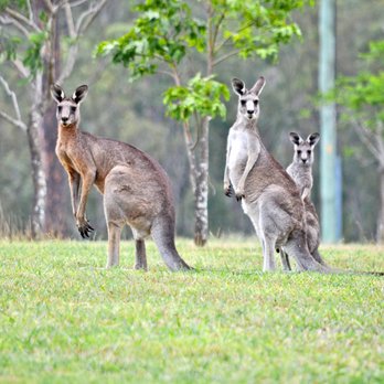 Block Eight - Hotels Near Me - Belford, NSW