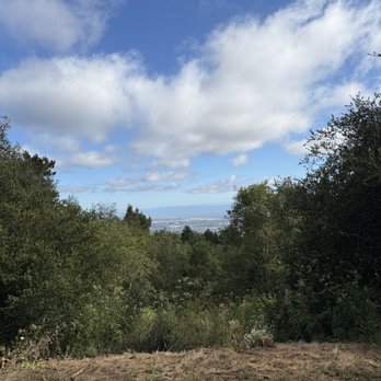 Roberts Regional Recreation Area - Parks Near Me - Oakland, California
