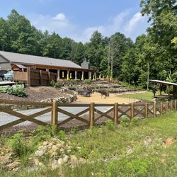 Ellijay Excursions