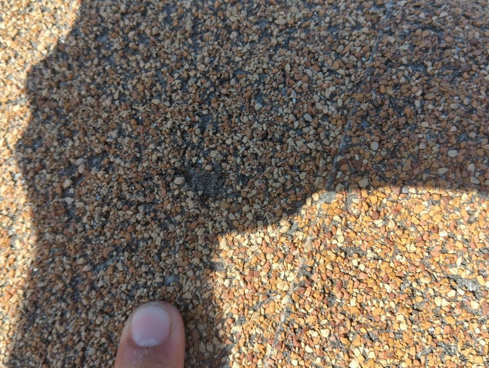 Slide of The Roof Goose