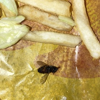 McDonald's - Fly or Bee in Fries - Fast Food Near Me - Del Mar, California