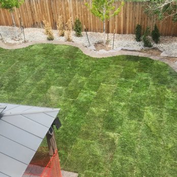 The Sod Guy - Beautiful new lawn from The Sod Guy! - Lawn Services Near Me - Parker, Colorado