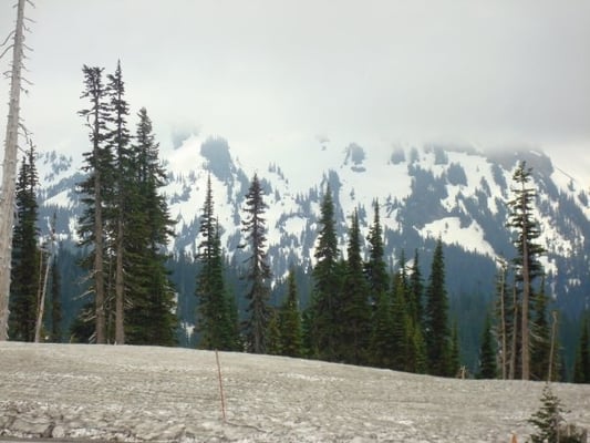 Mount Rainier by null