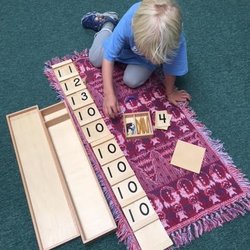 Village Montessori School
